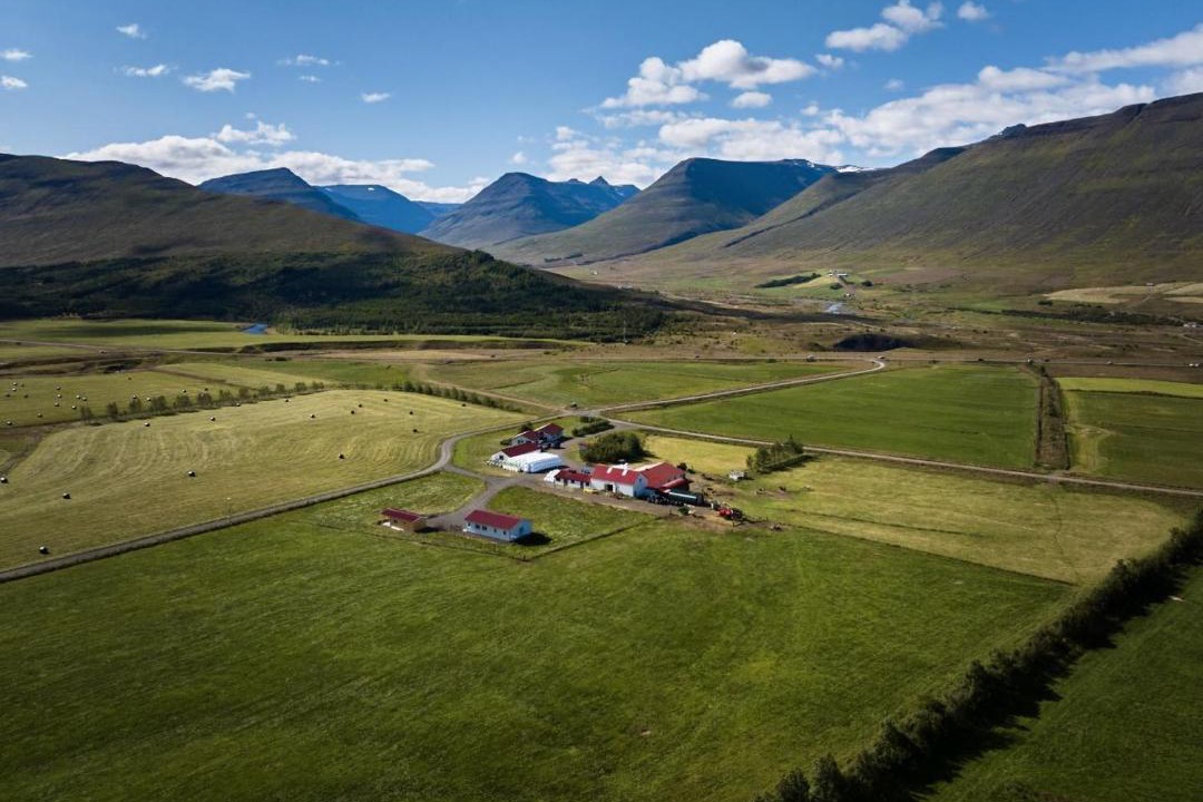 Photo of Others in Oxnadalur Valley