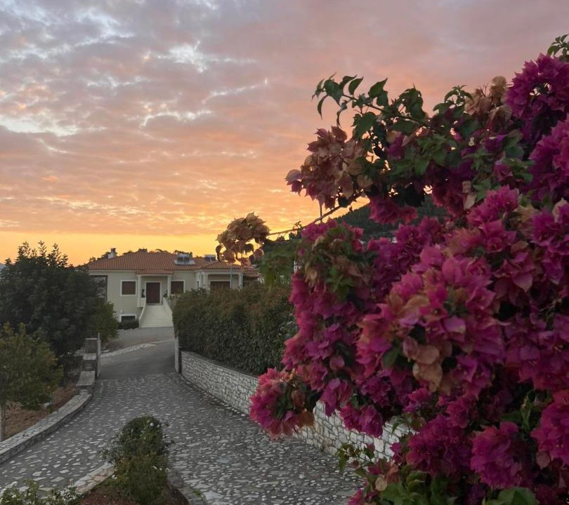 Photo of Outdoor in Kiparissia