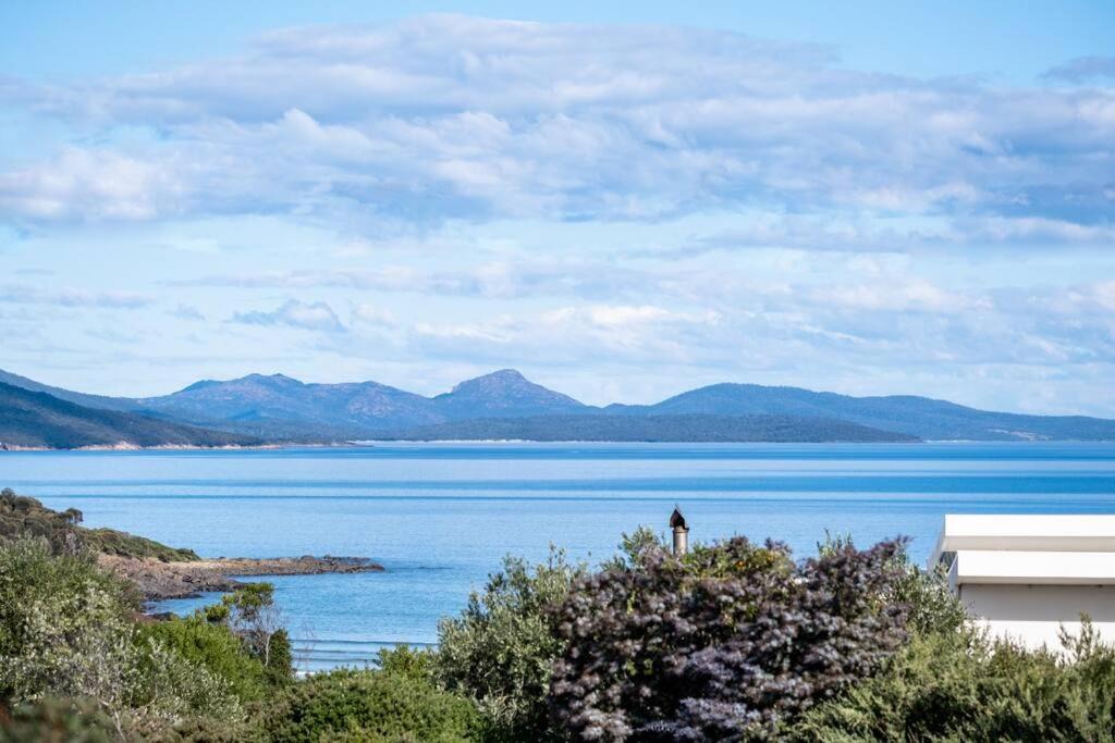 Photo of Others in Coles Bay