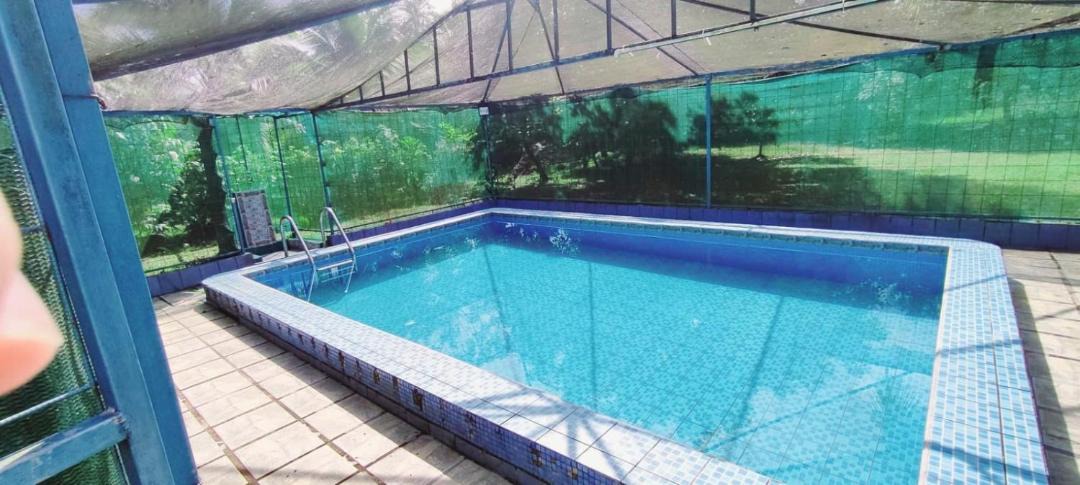 Photo of Others in Guacimo