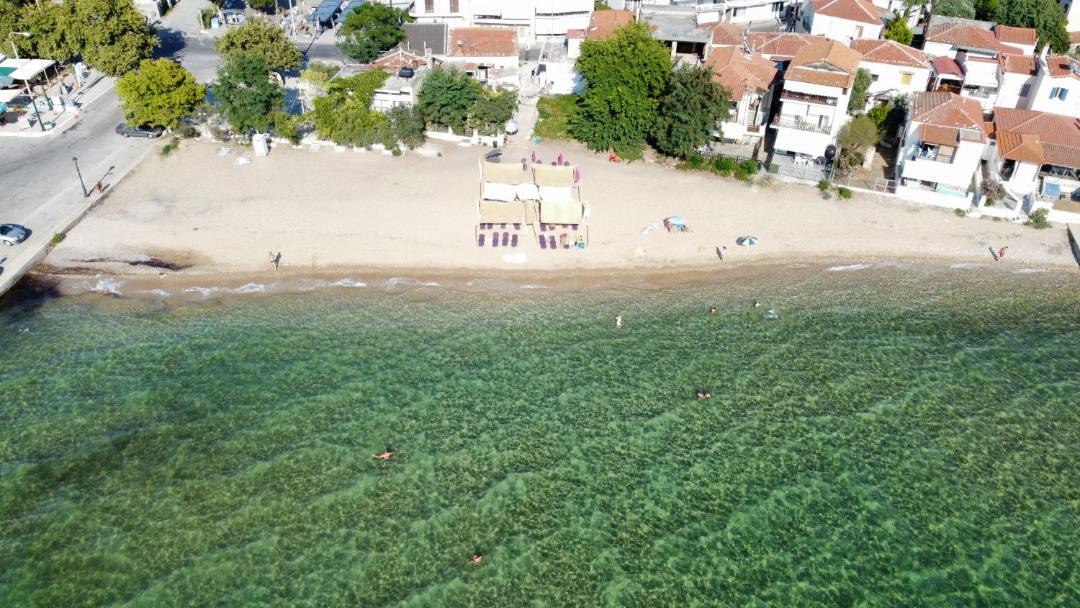 Photo of Others in Skala Kallirachis