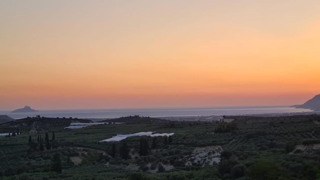 Photo of Others in Galia