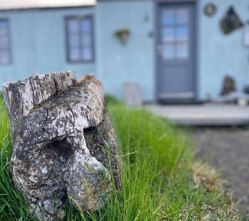 Photo of Buildings in Skutustadir