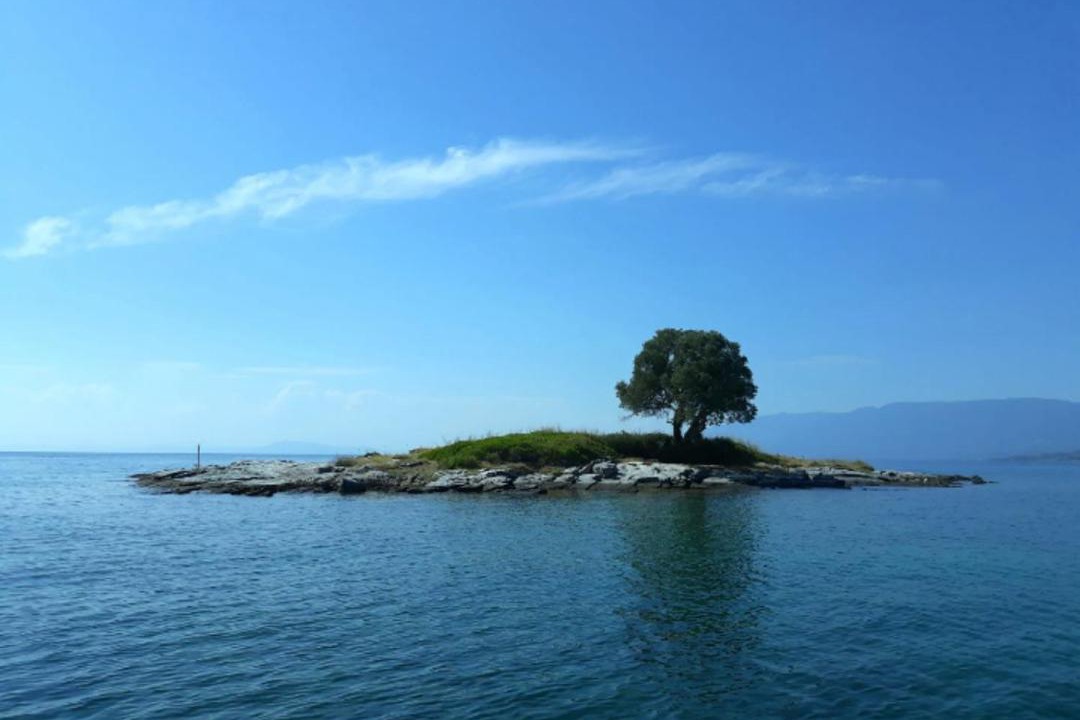 Photo of Others in Horto