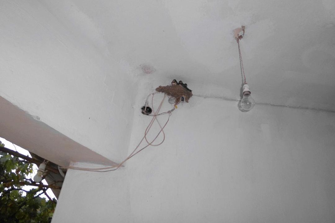 Photo of Others in Kritsa