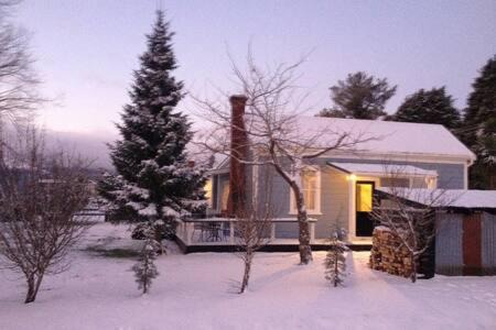 Photo of Others in Rangataua