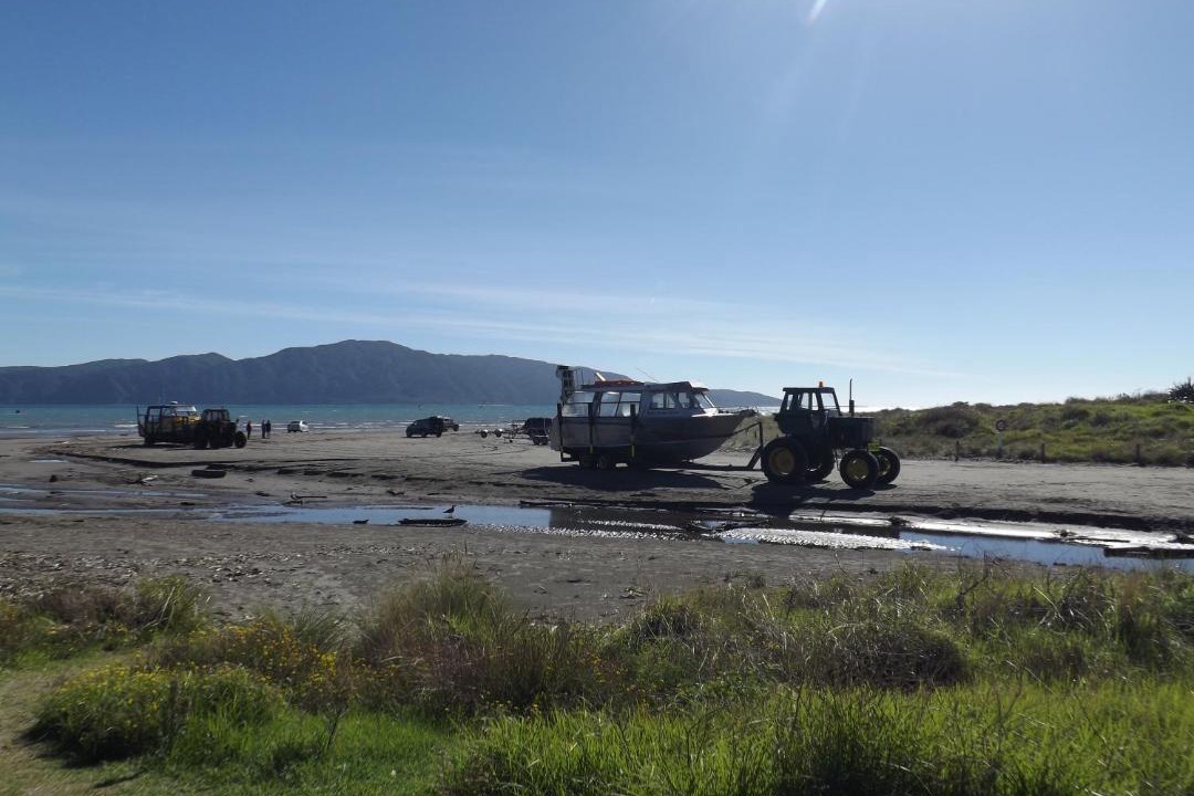 Photo of Others in Paraparaumu Beach