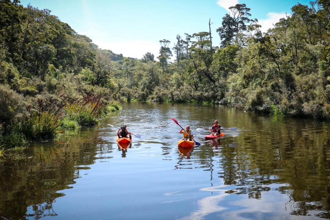 Photo of Others in Papatowai