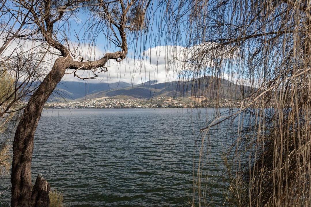 Photo of Others in Otago
