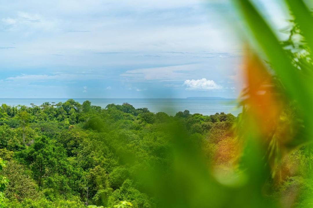 Photo of Others in Ojochal