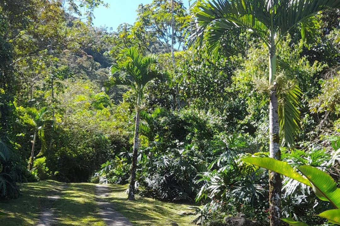 Photo of Others in Pacuare Reserve