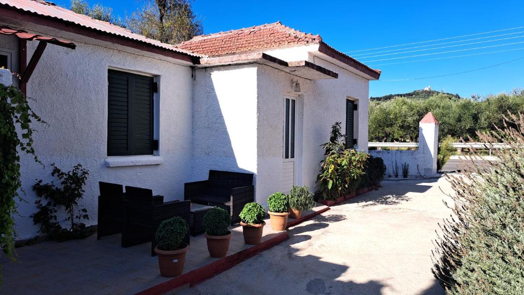 Photo of Others in Alonia