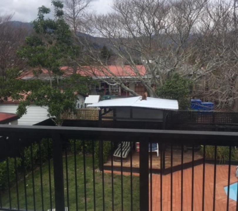 Photo of Others in Nelson