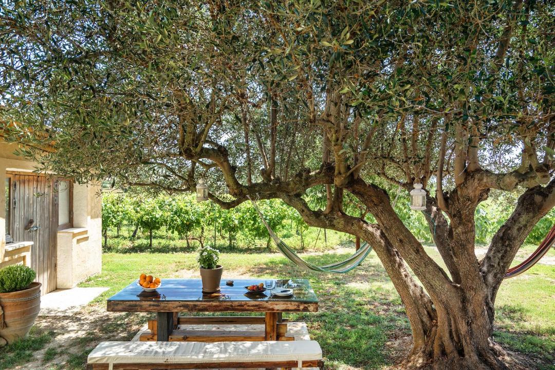 Photo of Others in Kefalonia