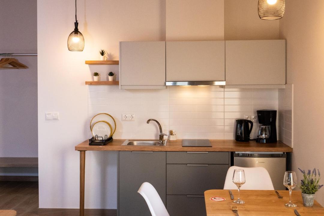 Photo of Kitchen in Papadhianika