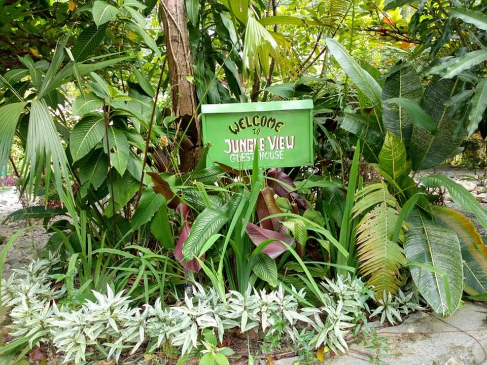 Photo of Others in Bukit Lawang