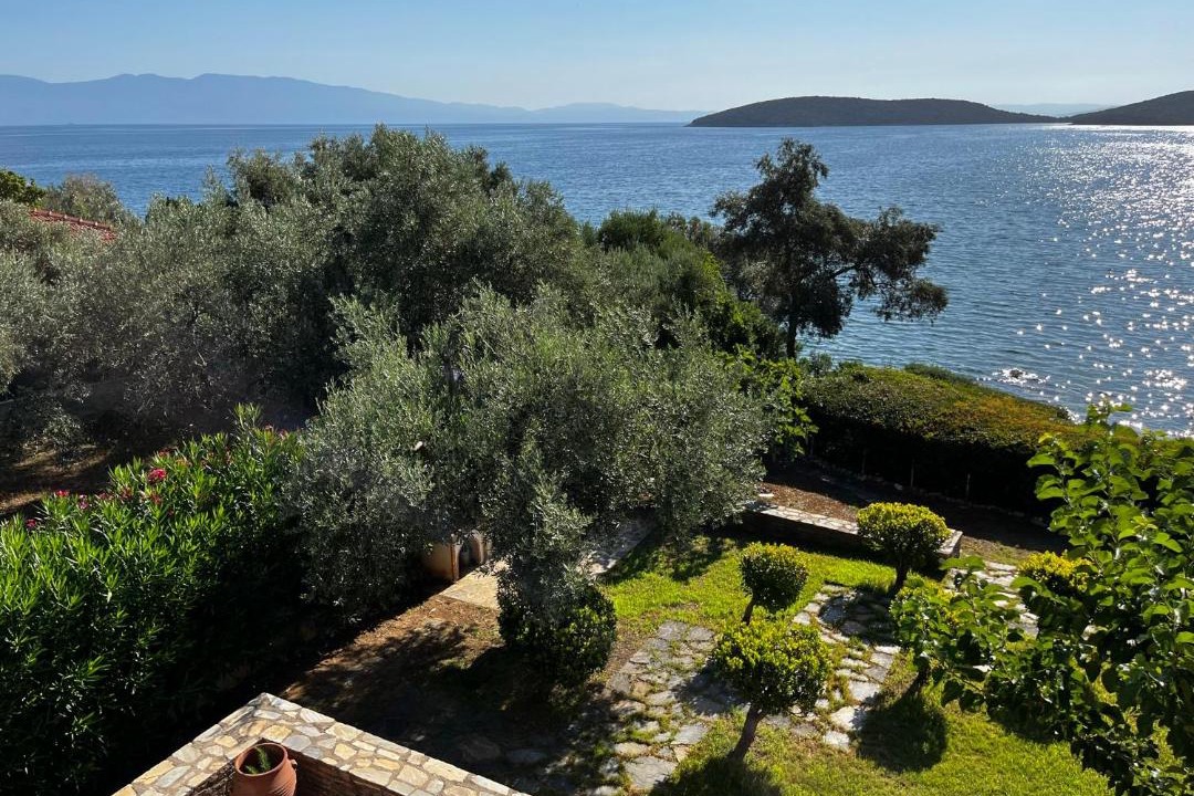 Photo of Others in Sourpi