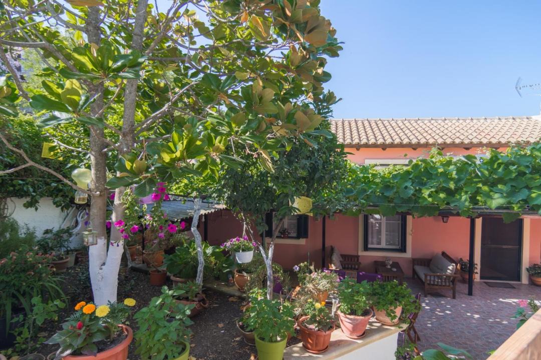 Photo of Others in Doukades