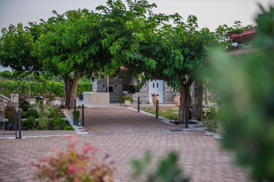 Photo of Others in Kiparissia
