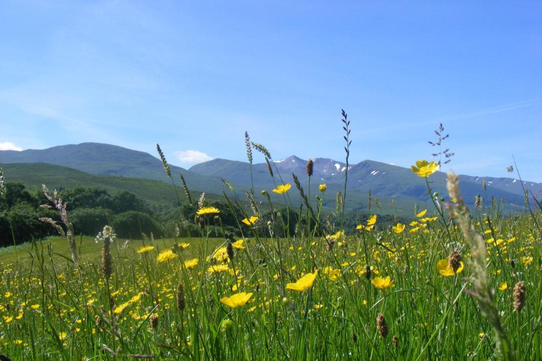 Photo of Outdoor in Roybridge