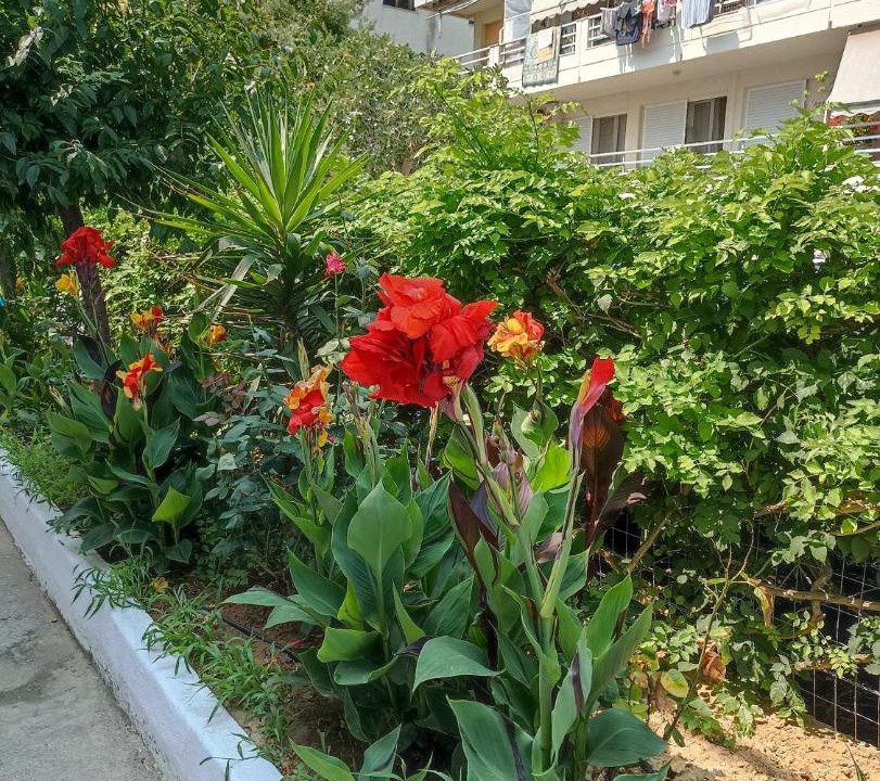 Photo of Outdoor in Agia Triada