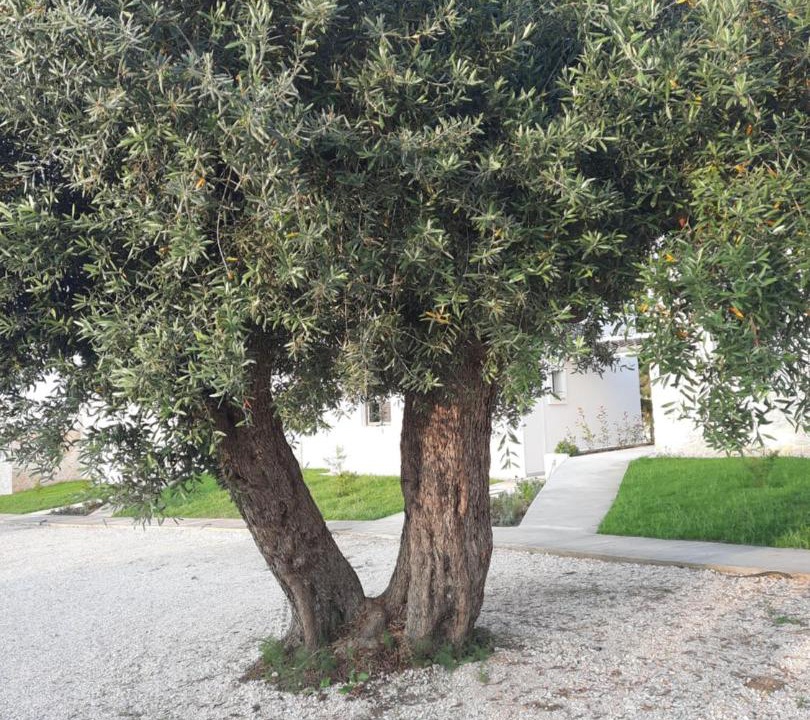 Photo of Outdoor in Vourvourou
