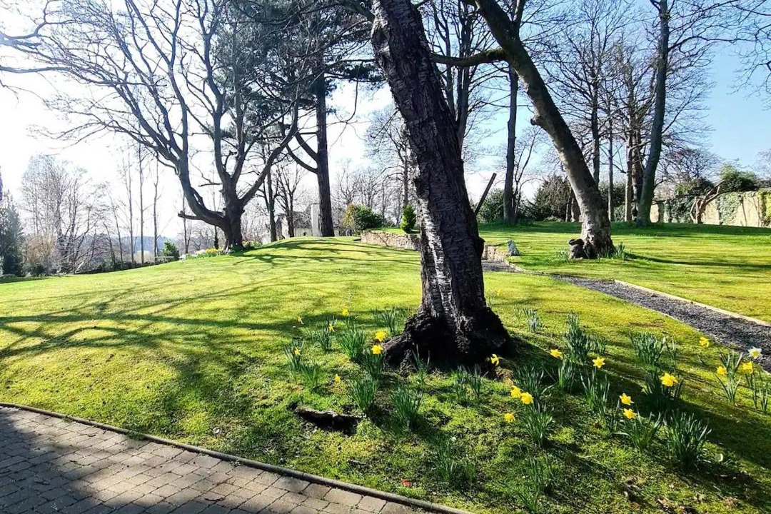 Photo of Outdoor in Inveresk