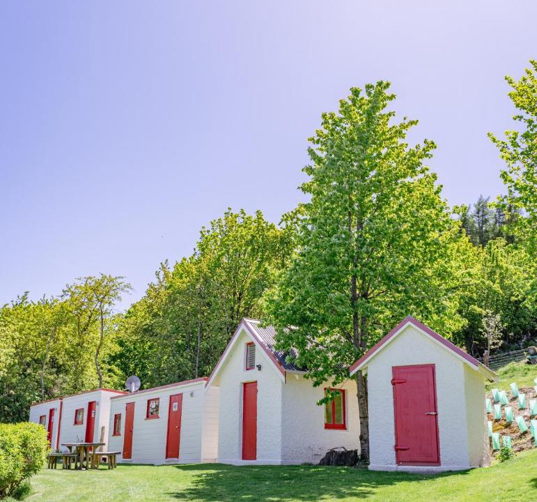 Photo of Others in Lake Tekapo