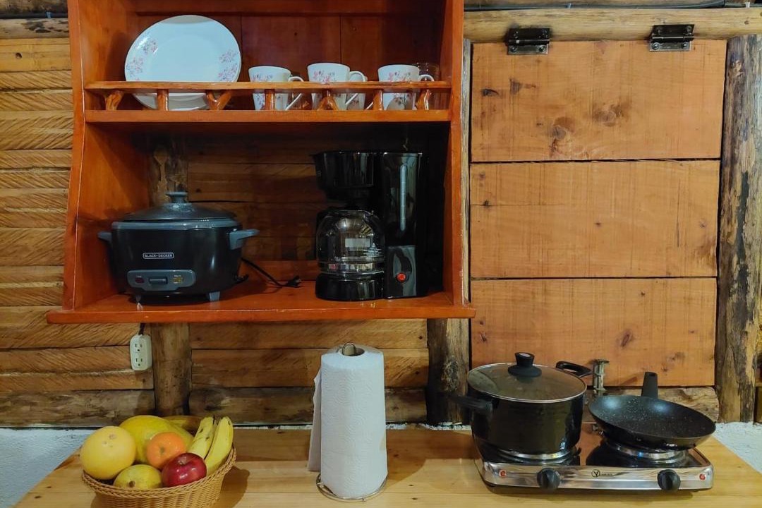 Photo of Kitchen in Venecia