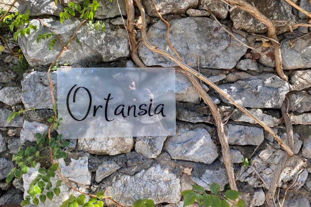 Photo of Others in Dimitsana