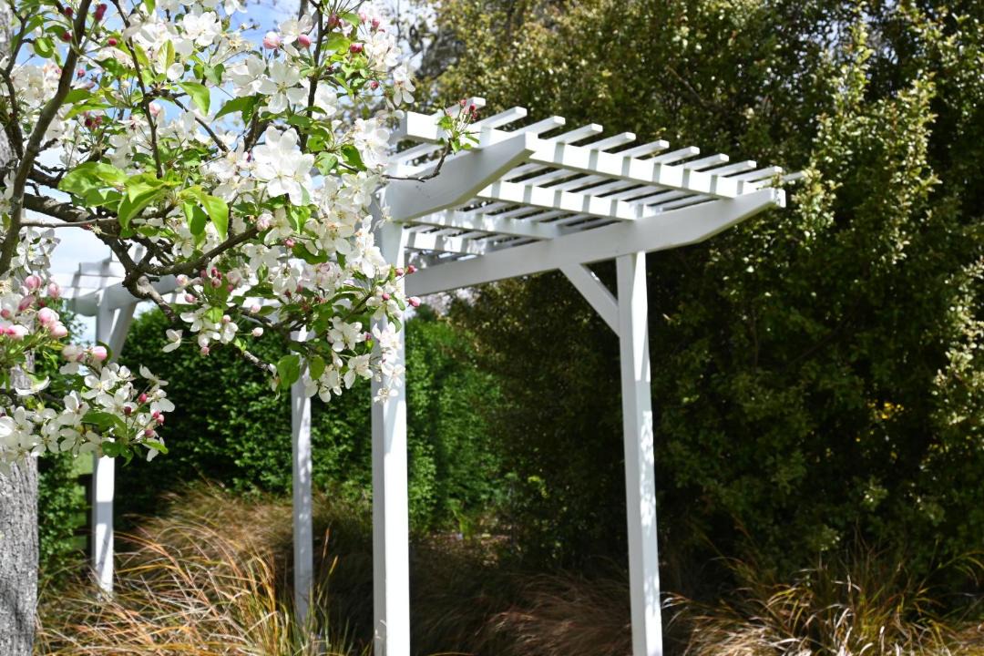 Photo of Others in Springlands