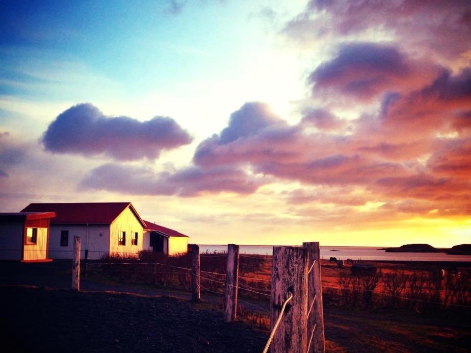 Photo of Others in Hornafjörður