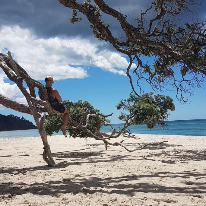 Photo of Others in Waihi Beach