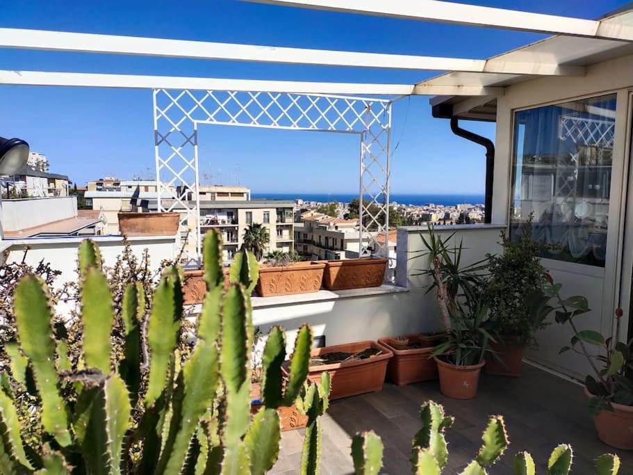 Photo of Others in Cibali