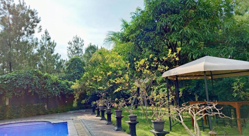 Photo of Outdoor in Sukaraja