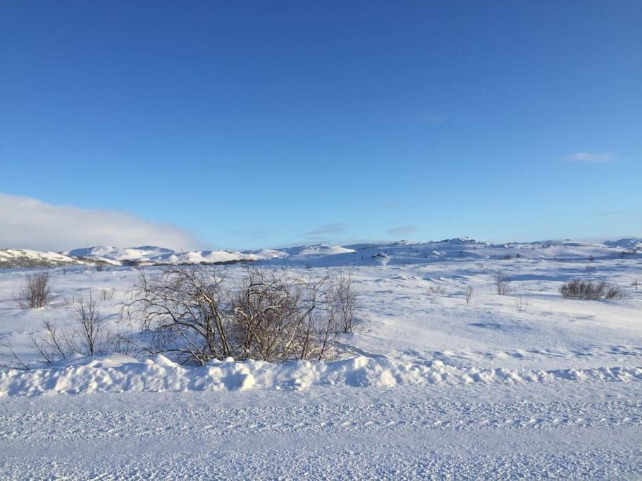 Photo of Outdoor in Skutustadir
