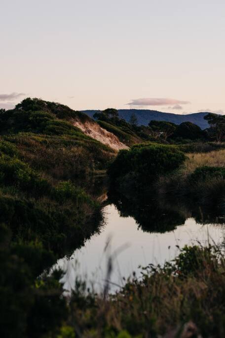 Photo of Outdoor in Bicheno