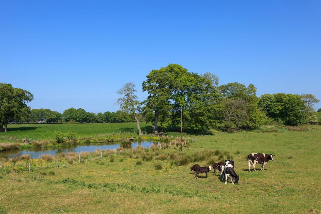 Photo of Outdoor in Linlithgow