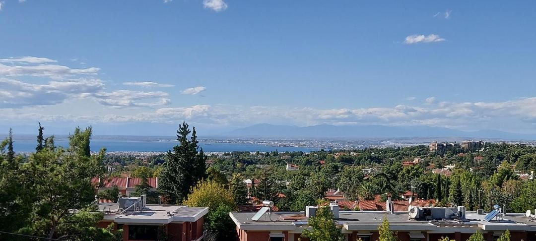 Photo of Others in Panorama