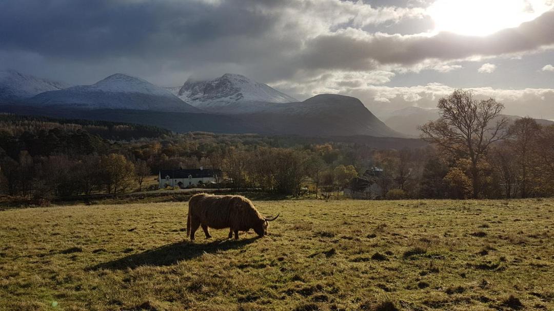 Photo of Outdoor in Muirshearlich