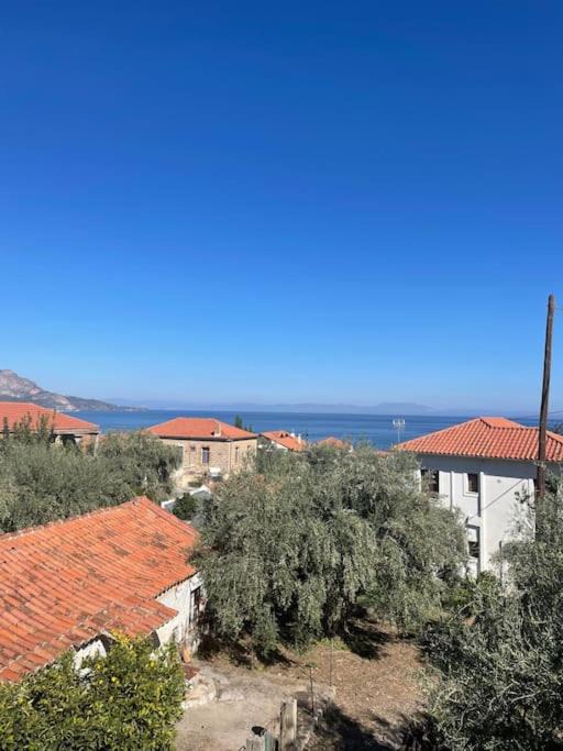 Photo of Outdoor in Poulithra