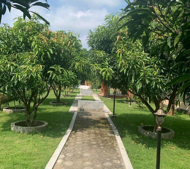 Photo of Others in Pagu