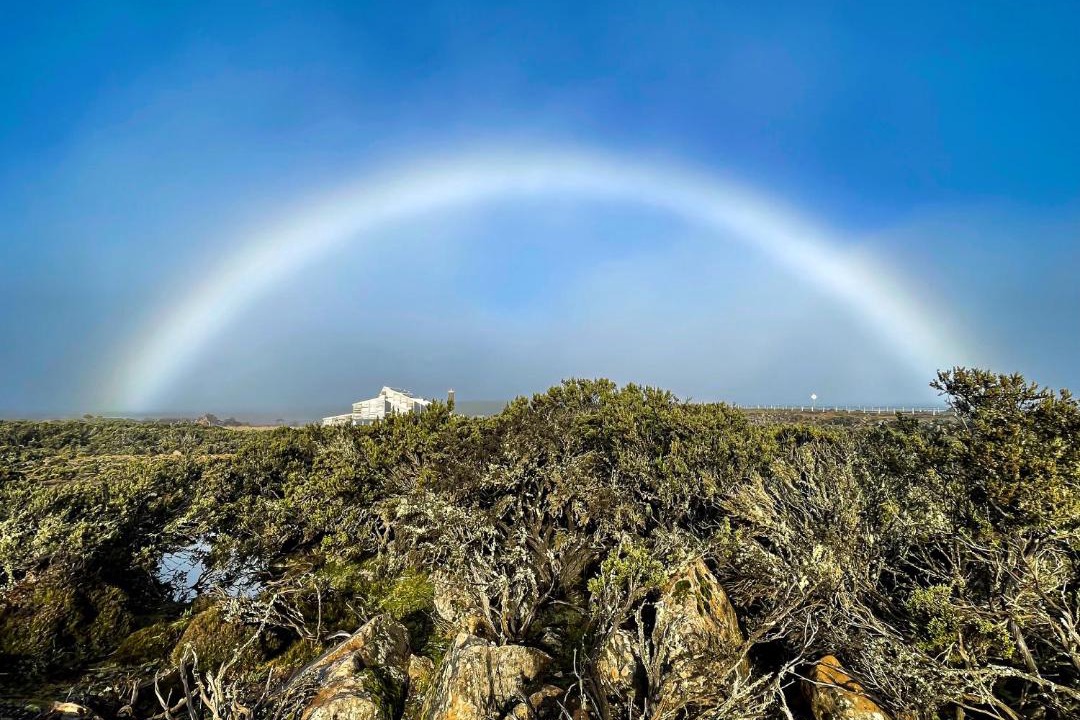 Photo of Others in Central Plateau