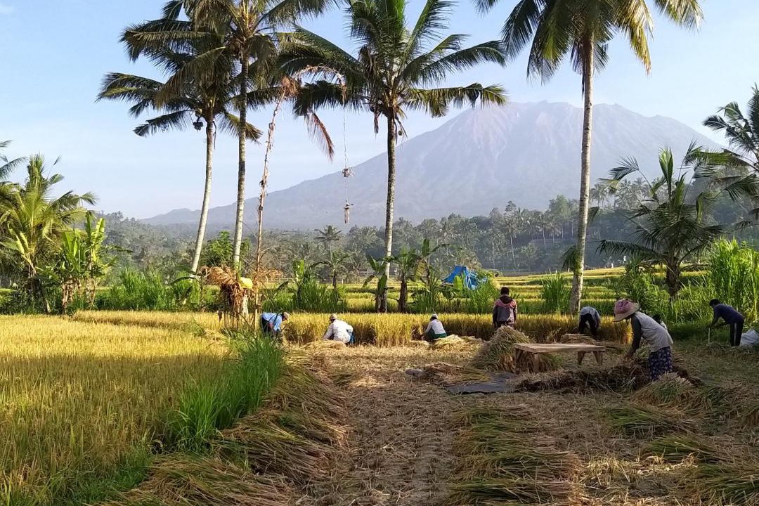 Photo of Outdoor in Selat