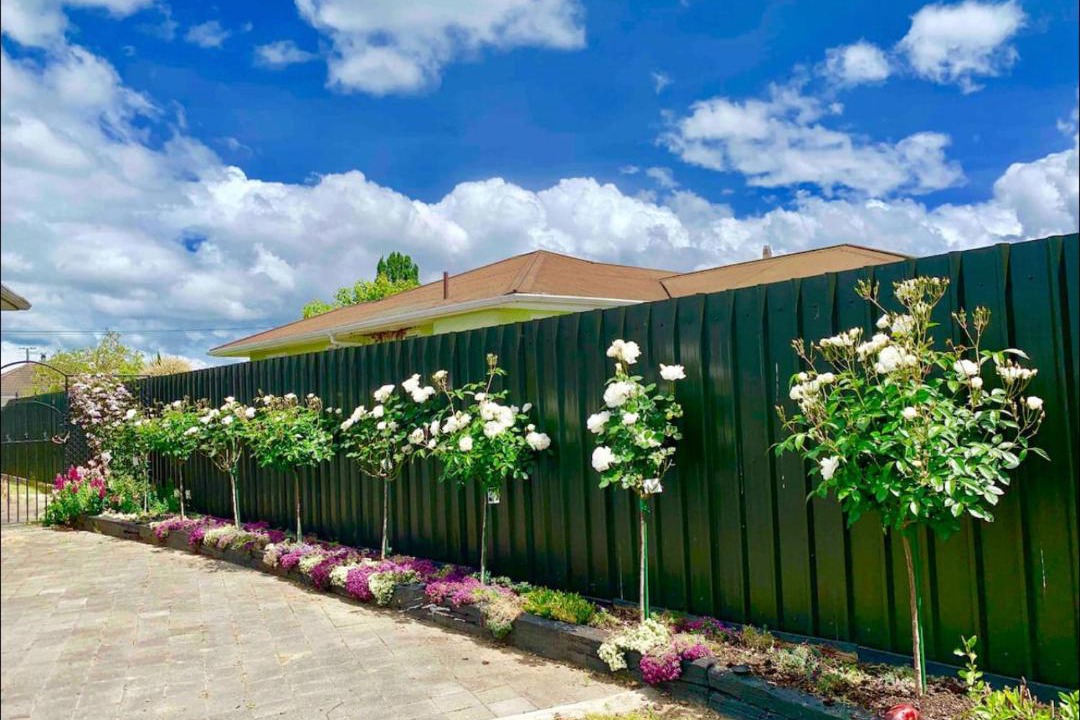 Photo of Others in Motueka