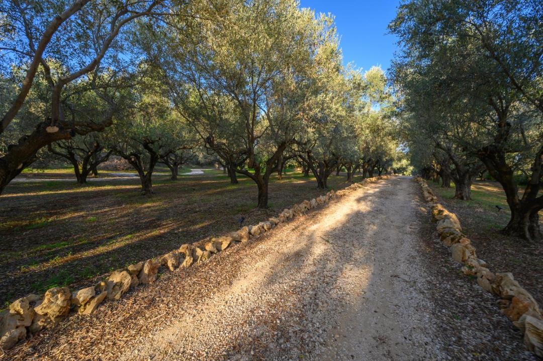 Photo of Outdoor in Tragana