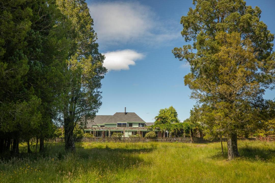 Photo of Others in Hokitika