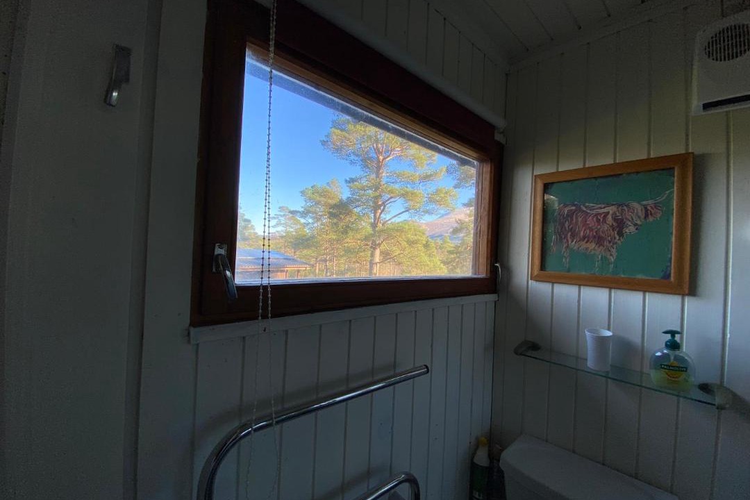 Photo of Others in Torlundy