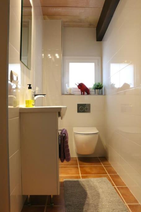 Photo of Others in Algaida