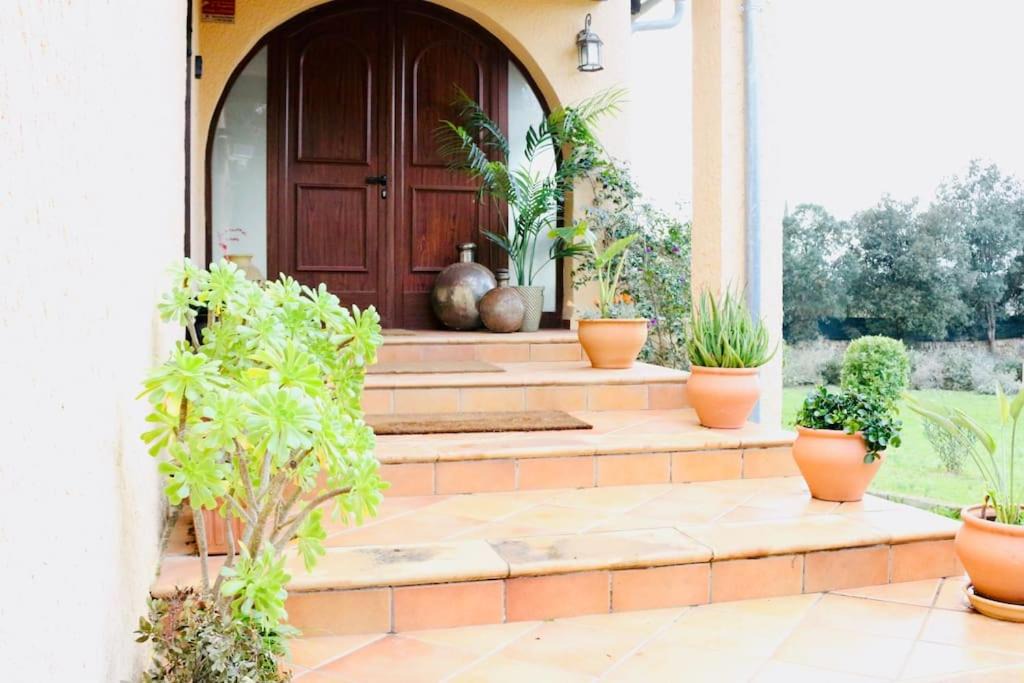 Photo of Others in Algaida